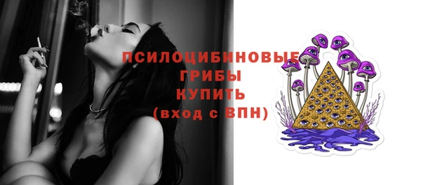 эйфоретик Алексин
