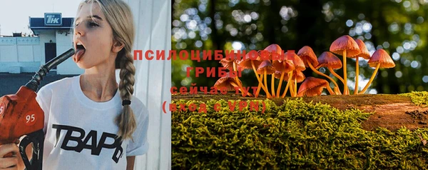 спайс Алзамай