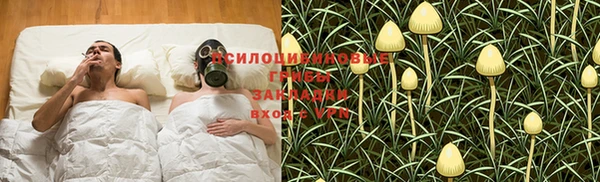 PSILOCYBIN Алексеевка