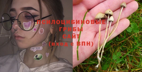 PSILOCYBIN Алексеевка