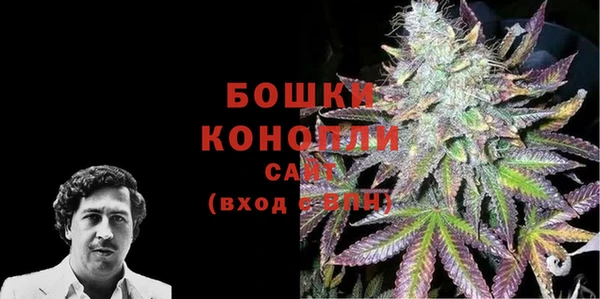 PSILOCYBIN Алексеевка