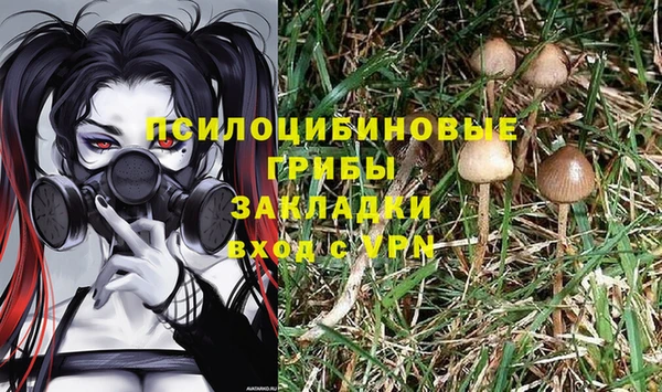 спайс Алзамай