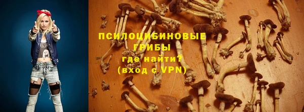 PSILOCYBIN Алексеевка